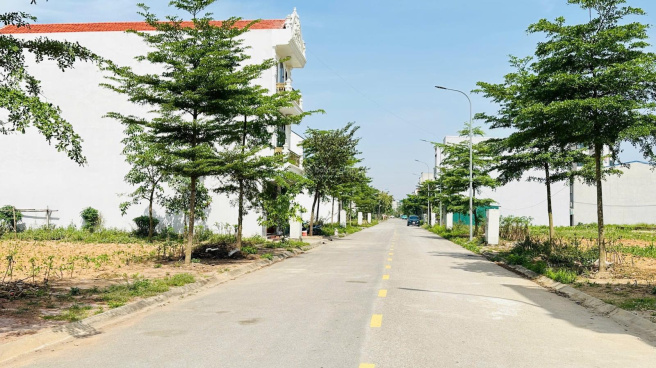 trong cay xanh du an 1